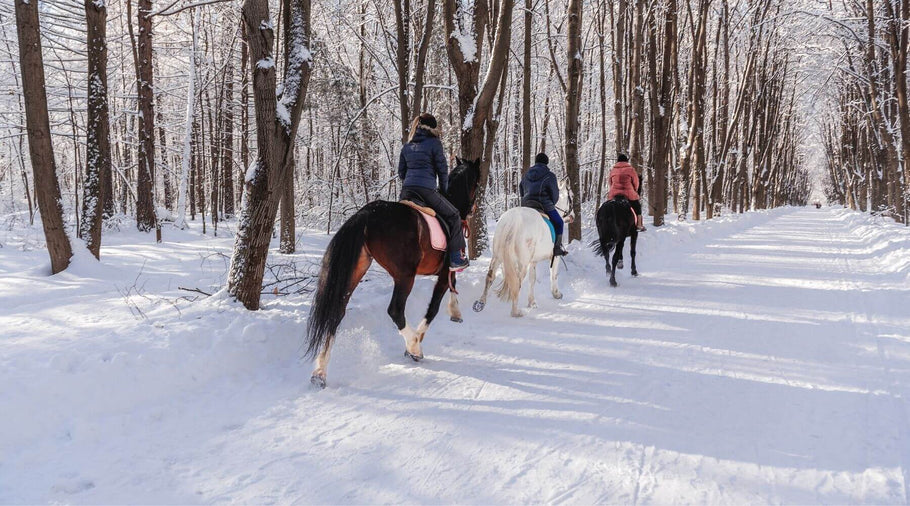 How to stay warm while horse riding in winter?